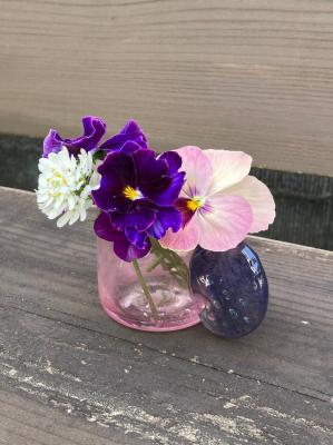 ��ؒq�q�@���}�O�J�b�v�@���x���_�[