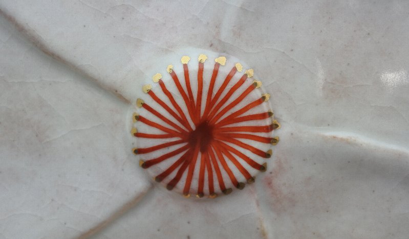 �g�債�Ă����ɂȂ��ĉ������B